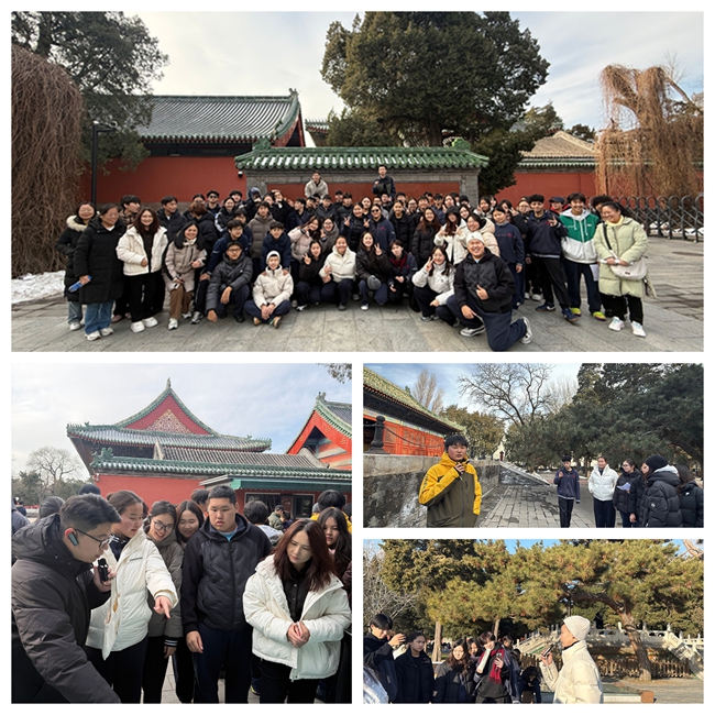 1766624589784652.jpg 01.JPG